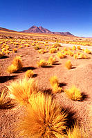 Atacama Desert. Chile
