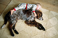 Boy with dog (German Longhaired Pointer)