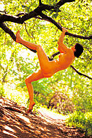 Naked woman climbing tree