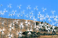 Wind turbines in motion