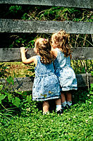 Twin toddler girls in denim dresses, looking between slats of wooden fence