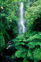 Wailua falls. Maui Island. Hawaii. USA