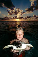 Release of Green Sea Turtle (Chelonia mydas). Cayman Islands