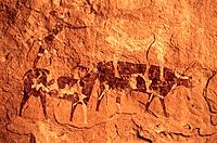 Cave paintings. Djanet. Algeria