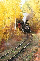 Railroad steam train winding through fall aspens near Chama. Cumbres & Toltec Scenic Railroad. New Mexico. USA