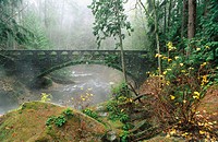 Bridge over Whatcom Creek. Whatcom Falls Park. Bellingham. Washington, USA