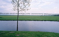 Irrigation canal with grassy banks lined with trees on far bank, single tree on near bank, Elburg, the Netherlands