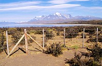 Torres del Paine National Park. Magallanes XIIth region. Chile.