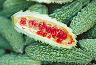 Bitter melon (Momordica charantia) therapeutic remedy in Phillippines.