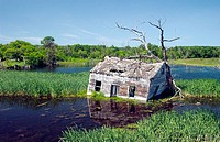 An abandoned flooded cottage near Kelwood, Manitoba. Canada