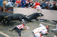 ´Encierro´ running of the bulls, San Fermin festival. Pamplona. Navarre, Spain