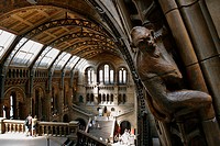 Great entrance hall of the Natural History Museum in Kensington, London. England, UK