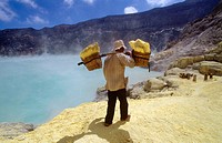 Miner with heavy load of yellow elemental sulphur collected from within the active crater of Volcano Ijen, eastern Java, Indonesia