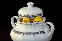 Rubber ducks floating in soup tureen from Limoges