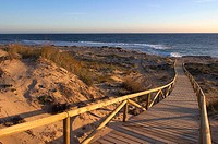 Trafalgar Cape, beach of Caños de Meca. Cádiz province, Andalusia, Spain