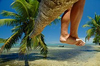 Legs of tourist sitting on reclining palm tree in a tropical island paradise. Ile Aux Nattes (Nosy Nato), Madagascar.