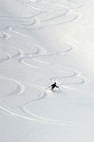 Skiier, California. USA