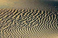 Mesquite Sand Dunes, Death Valley NP. California. USA.