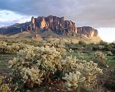 Superstition Mountains. Lost Dutchman State Park. Arizona. USA