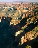 A view of the Grand Canyon from the Saddle Mountain. Saddle Mountain Wilderness, Arizona, USA.