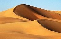 Liwa oasis in the desert. UAE (April, 2005)