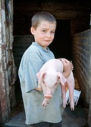 Young boy with pigglet on farm