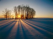 Winter sunset. Suwalki region, Northern Poland