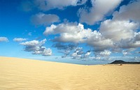 Dunes. Fuerteventura. Canary Islands. Spain
