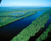 Archipelago of Anavilhanas at Amazon River, near Manaus. Brazil