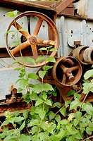 Rusty machinery at Bernardo Winery, San Diego, California, USA.