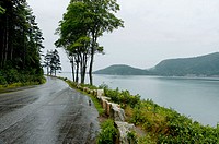 Deserted wet road on rainy day on Sargeant Drive at Somes Sound, Acadia National Park, Maine, USA.