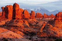 Sunset, Windows section and La Sal mountains, Arches National Park, Moab, Utah, USA.