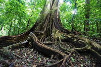 Rincon de la Vieja National Park, Guanacaste, Costa Rica