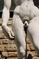 Replica of Michelangelo´s David in Piazza della Signoria, Florence. Tuscany, Italy