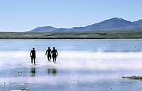 Tourists bathing in hot springs. Termas de Polques, Reserva Nacional Eduardo Avaroa, Bolivia