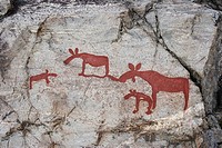 Rock-carvings of moose in Nämforsen, Västernorrlands län, Sweden, Scandinavia, Europe