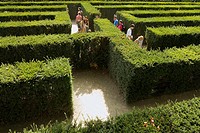 Hedge Labyrinth, Schonbrunn Palace Gardens, Vienna, Austria, Europe