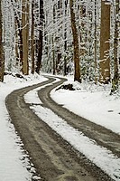Winter, Snow, Road, Tracks, Greenbrier, Great Smoky Mountains National Park, Tennessee, USA