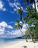 Grande Anse Beach. Grenada, West Indies, Caribbean