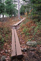 The Jordan Pond shore trail, Acadia National Park. Maine, USA