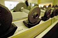 Row of dumbbell weights on rack at health club