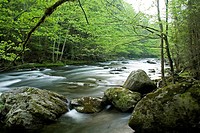 Middle Prong, Little River, Tremont, Great Smoky Mtns National Park, TN