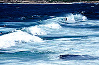 Surfing off beach, Sydney, Australia