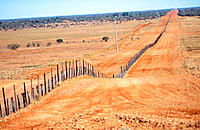 Wild dog dingo fence. Australia