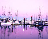Commercial fishing fleet at dawn, Charleston boat basinSouthern Oregon coast, USA