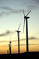 A row of wind generators on a wind farm near Williams, Iowa, USA, at sunset
