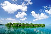 Mangroves at Bastimentos marine Park, Bocas del Toro islands, Rep.of Panamá, Central America. 2005