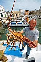 Fisherman showing lobster, port of Ciutadella. Minorca, Balearic Islands, Spain