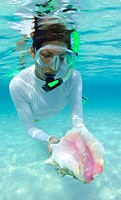 A snorkeler finds a pink conch shell in the shallows off Rainbow Beach, Eleuthera, Bahamas, Atlantic Ocean