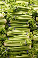 Celery on display in market.